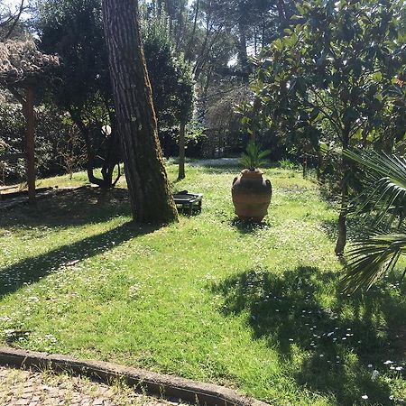 Old Town In The Green: Federico'S Apartment. Florenz Exterior foto